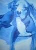 Nelly Blue