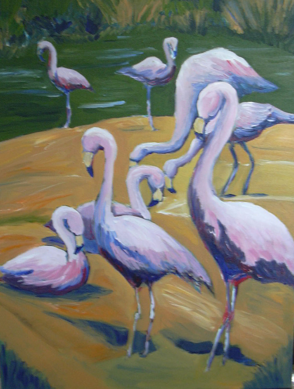 2004-06-flamingos