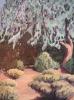Eucalyptus Tree