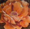 Orange Peony