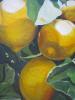 Lemons